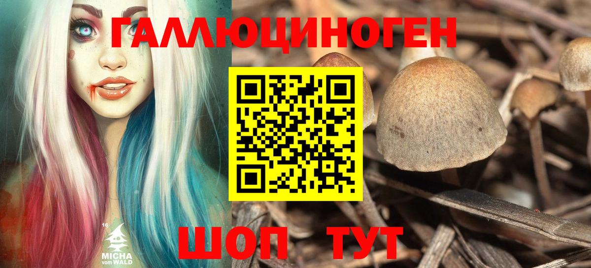 Псилоцибиновые грибы Psilocybe Троицк