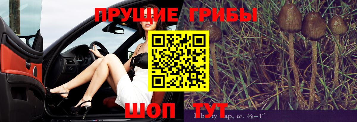 Галлюциногенные грибы прущие грибы  Псилоцибиновые грибы ЛСД  Троицк  Вход с VPN 